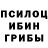 Галлюциногенные грибы мицелий liza konurina