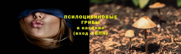 прущая мука Армянск
