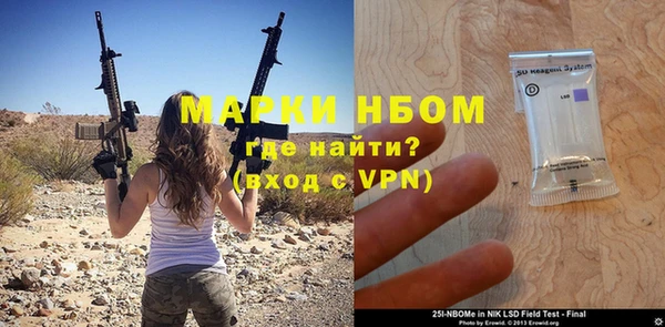 крисы Аркадак