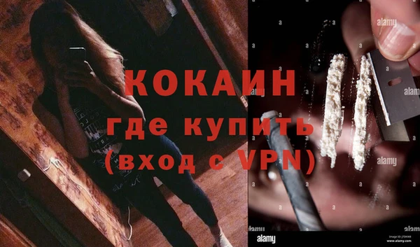 крисы Аркадак