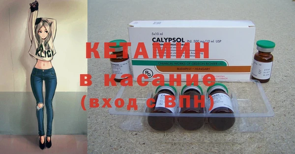 крисы Аркадак