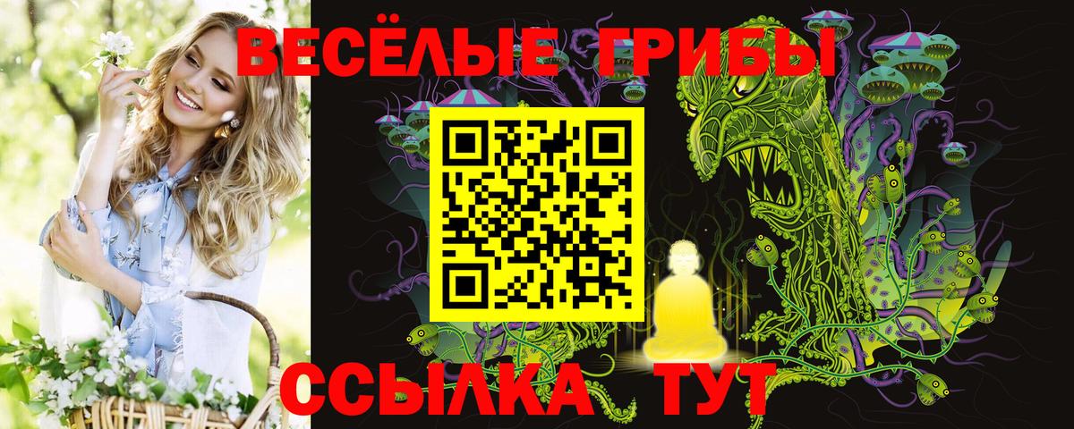 Галлюциногенные грибы прущие грибы  Вход с VPN  Долгопрудный 